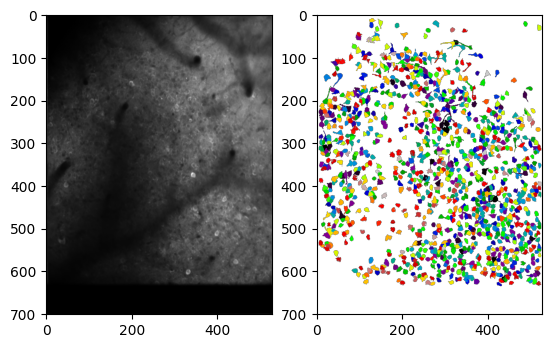 ../_images/notebooks_example_imaging_2p_7_0.png